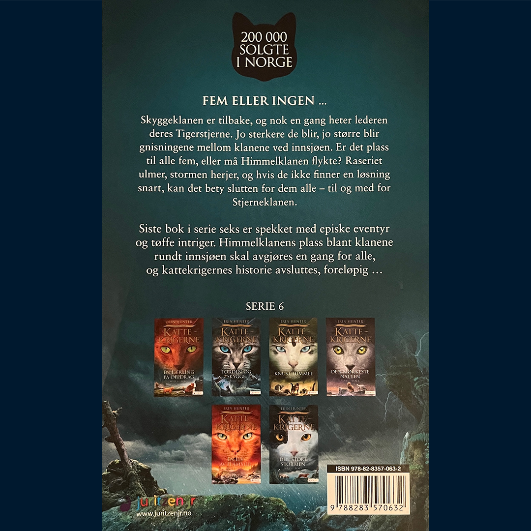 Hunter, Erin: Kattekrigerne (Serie 6 - bok 6) Den store stormen