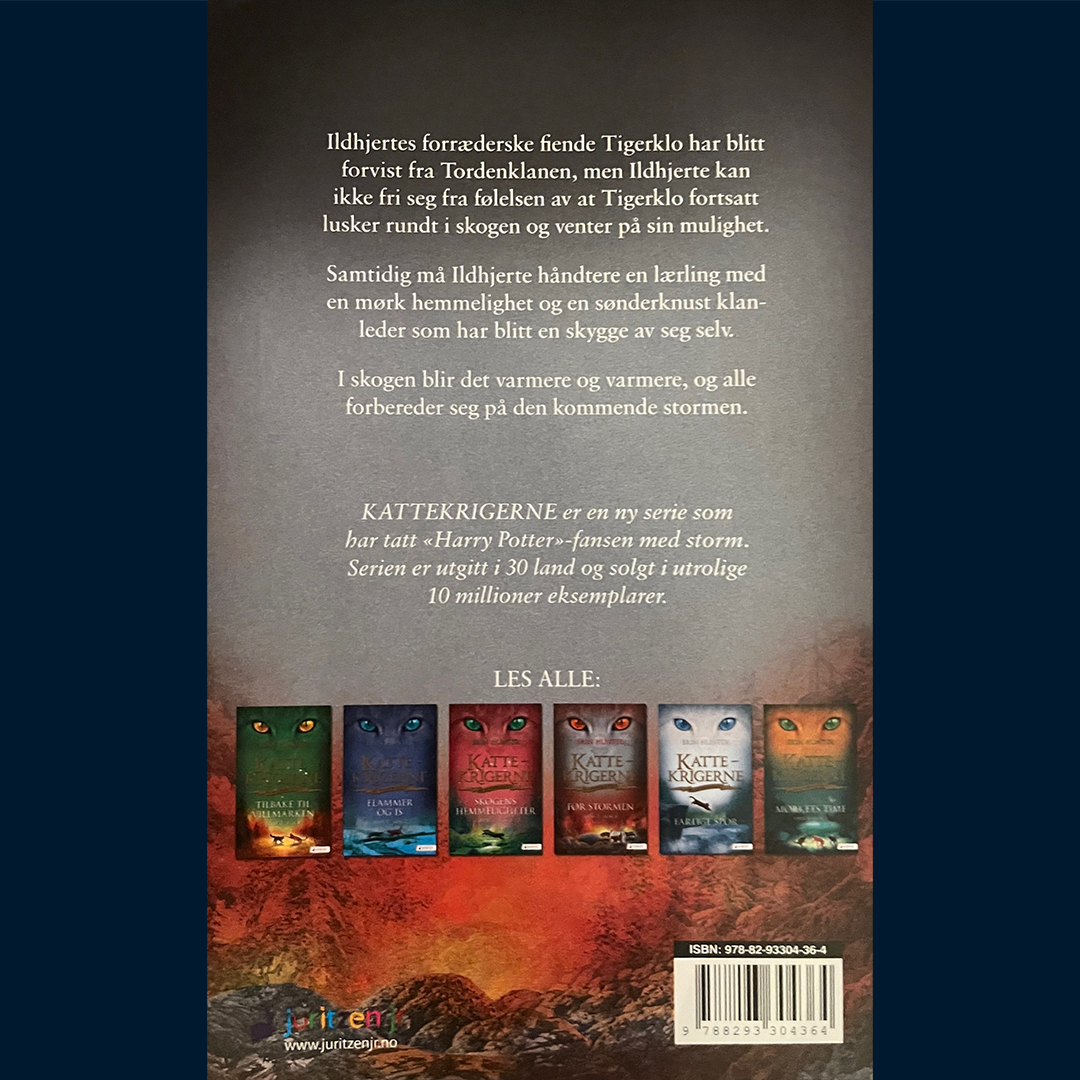 Hunter, Erin: Kattekrigerne (Serie 1 - bok 4) - Før stormen