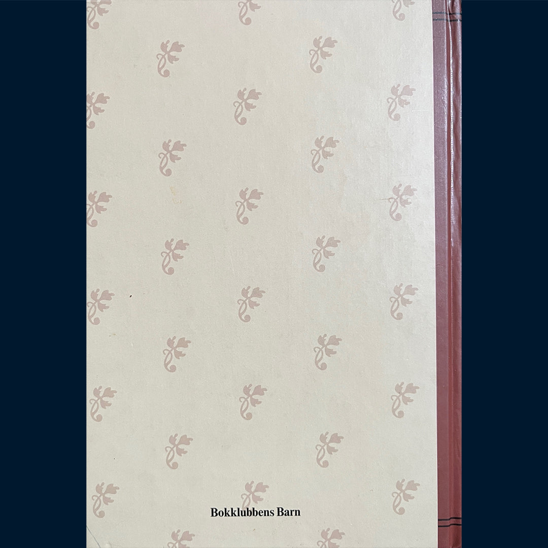 Burnett, Frances H: Den hemmelige hagen (1996)