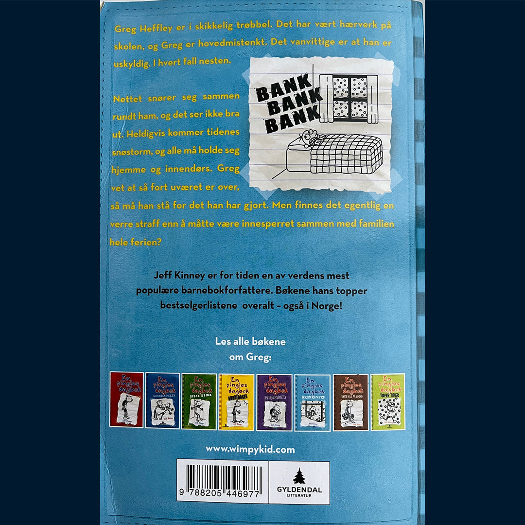 Kinney, Jeff: En pingles dagbok (6) Brakkesyke (Pocket)