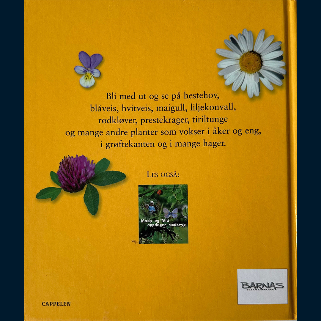 Eidissen, Bjørn: Mads og Mia ser på blomster