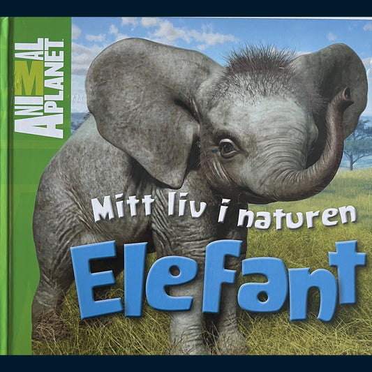 Costain, Meredith: Mitt liv i naturen - Elefant