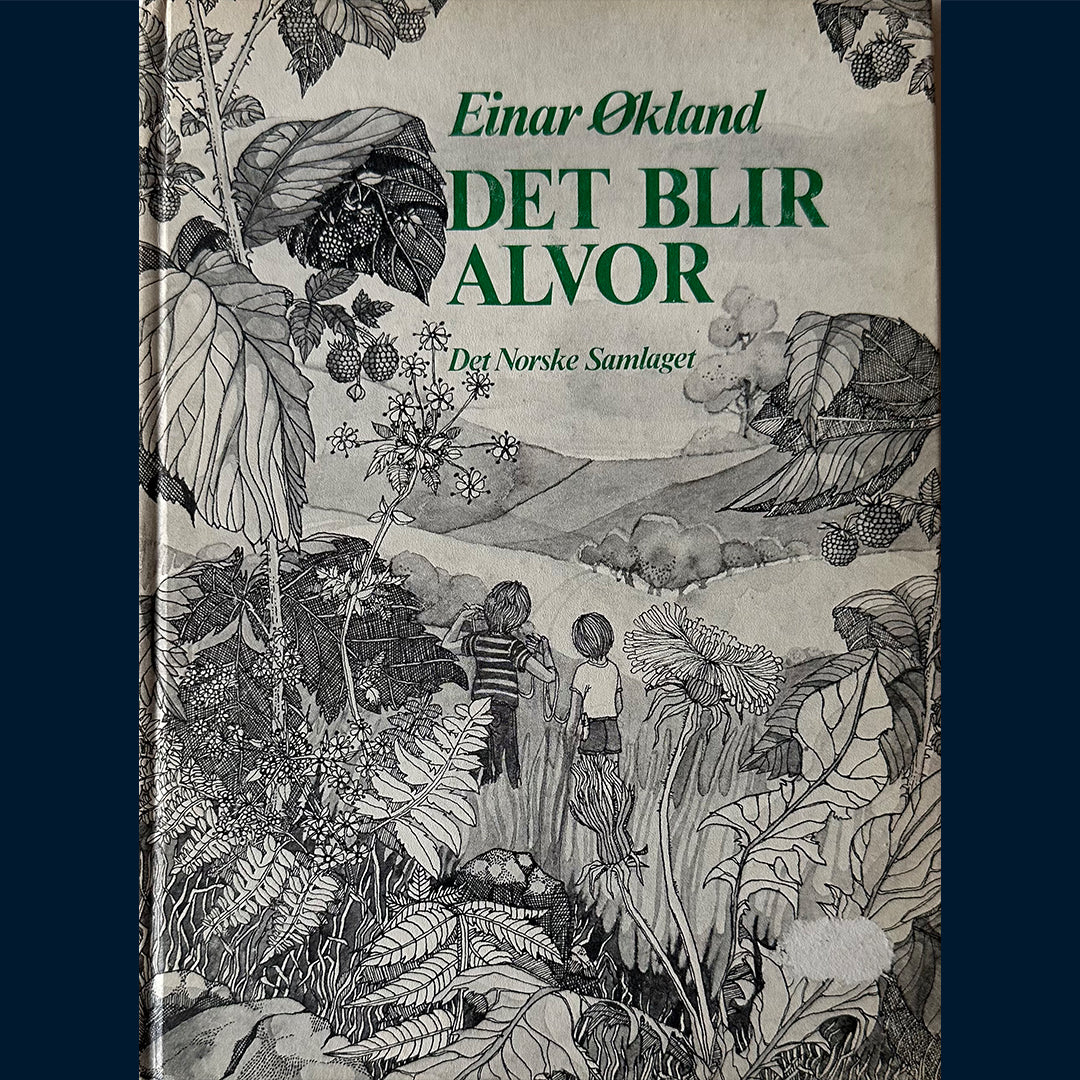 Økland, Einar: Det blir alvor