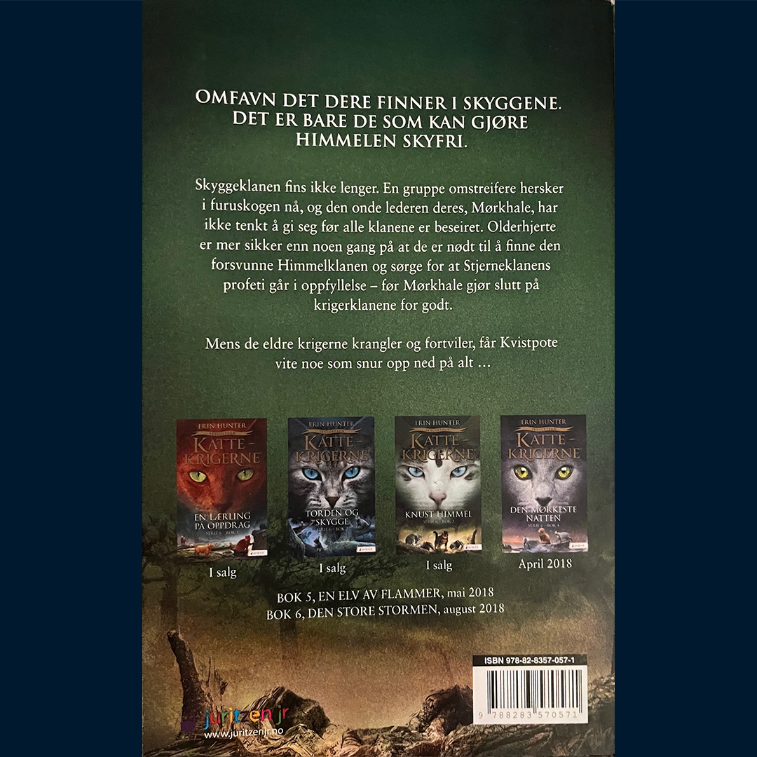 Hunter, Erin: Kattekrigerne (Serie 6 - bok 3) Knust himmel