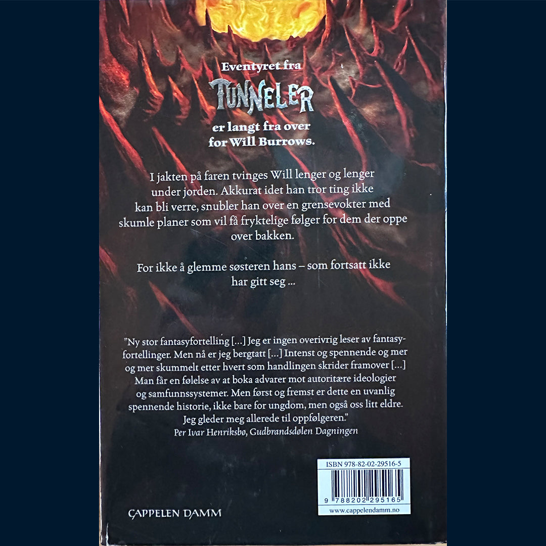 Gordon, Roderick: Avgrunnen - Tunneler bok 2 (Innb.)
