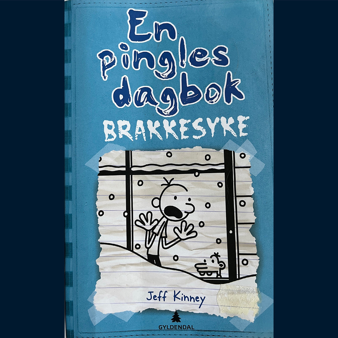 Kinney, Jeff: En pingles dagbok (6) Brakkesyke (Pocket)