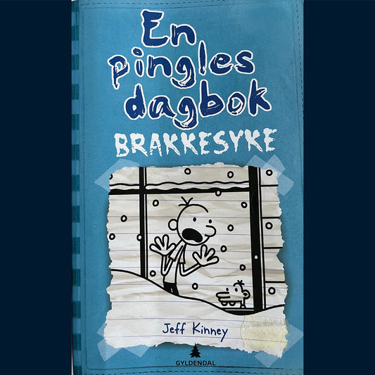 Kinney, Jeff: En pingles dagbok (6) Brakkesyke (Pocket)