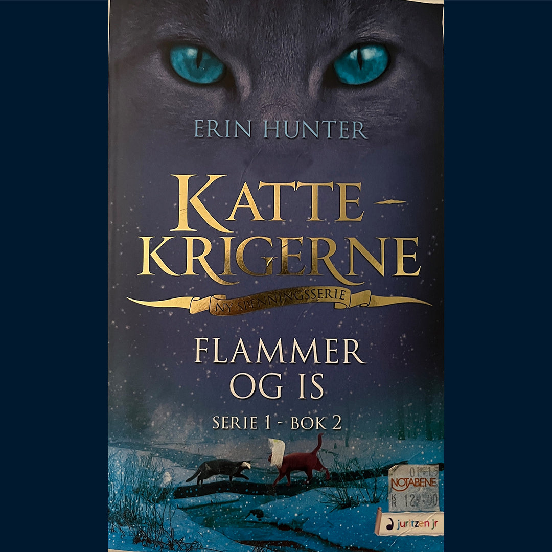 Hunter, Erin: Kattekrigerne (Serie 1 - bok 2) - Flammer og is