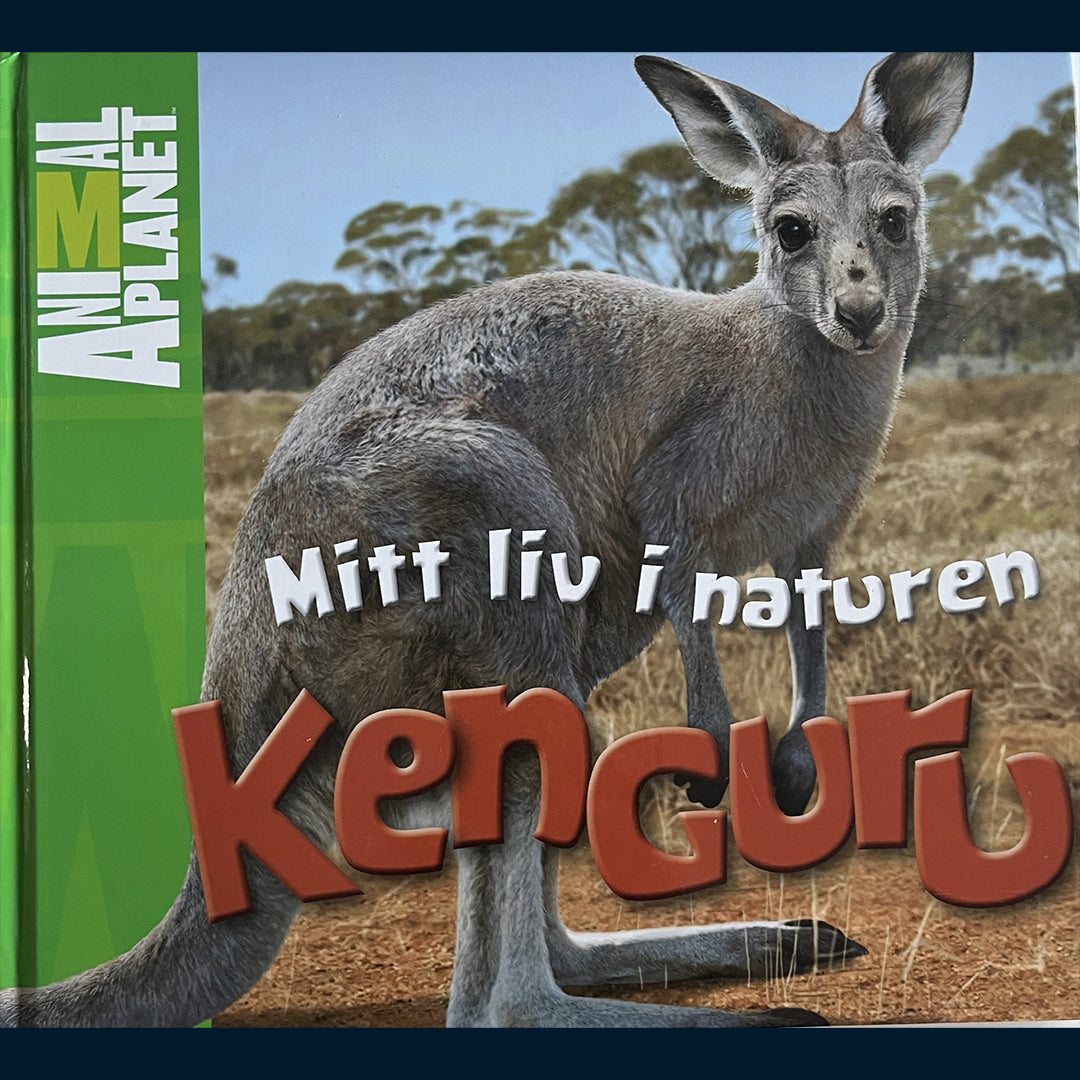 Costain, Meredith: Mitt liv i naturen - Kenguru