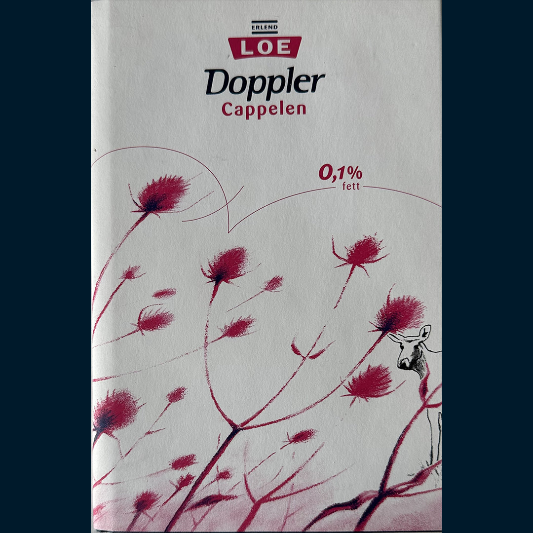 Loe, Erlend: Doppler (2004)