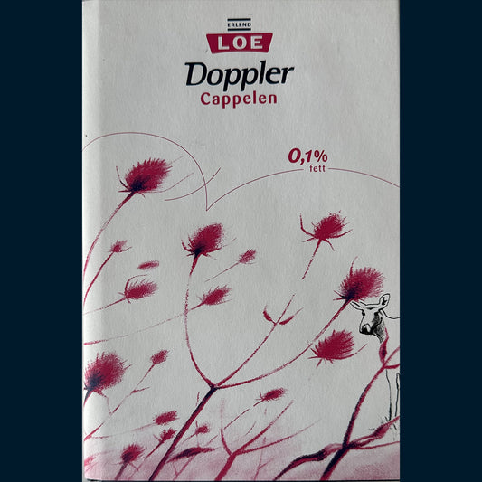 Loe, Erlend: Doppler (2004)
