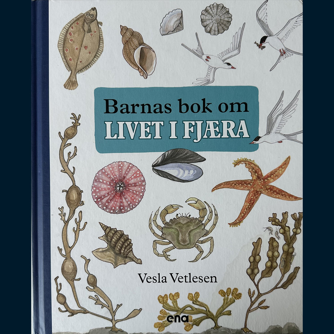 Vetlesen, Vesla: Barnas bok om livet i fjæra