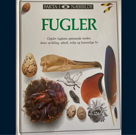 Fakta i nærbilde - Fugler