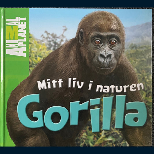 Costain, Meredith: Mitt liv i naturen - Gorilla