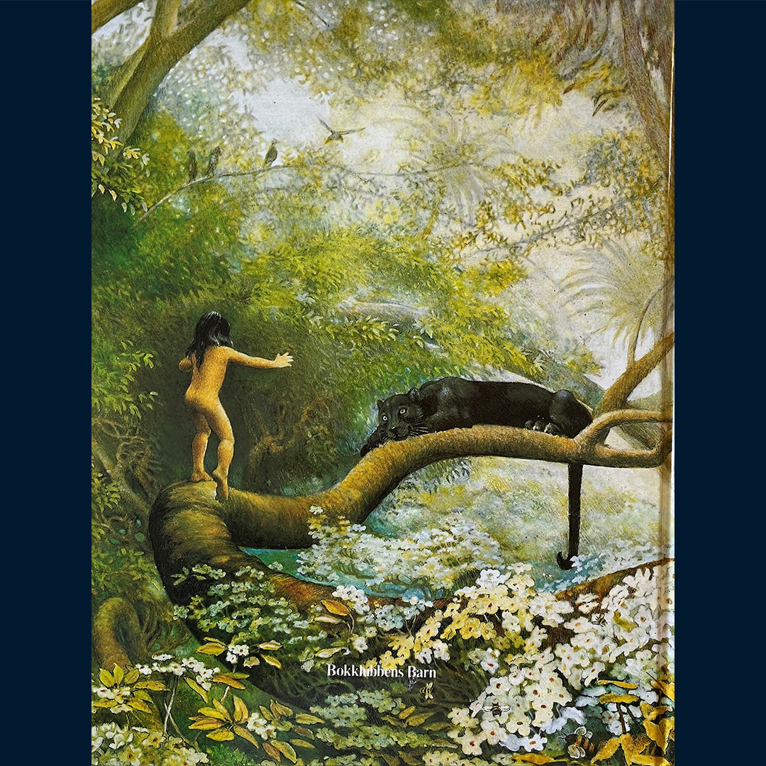 Kipling, Rudyard: Jungelboka